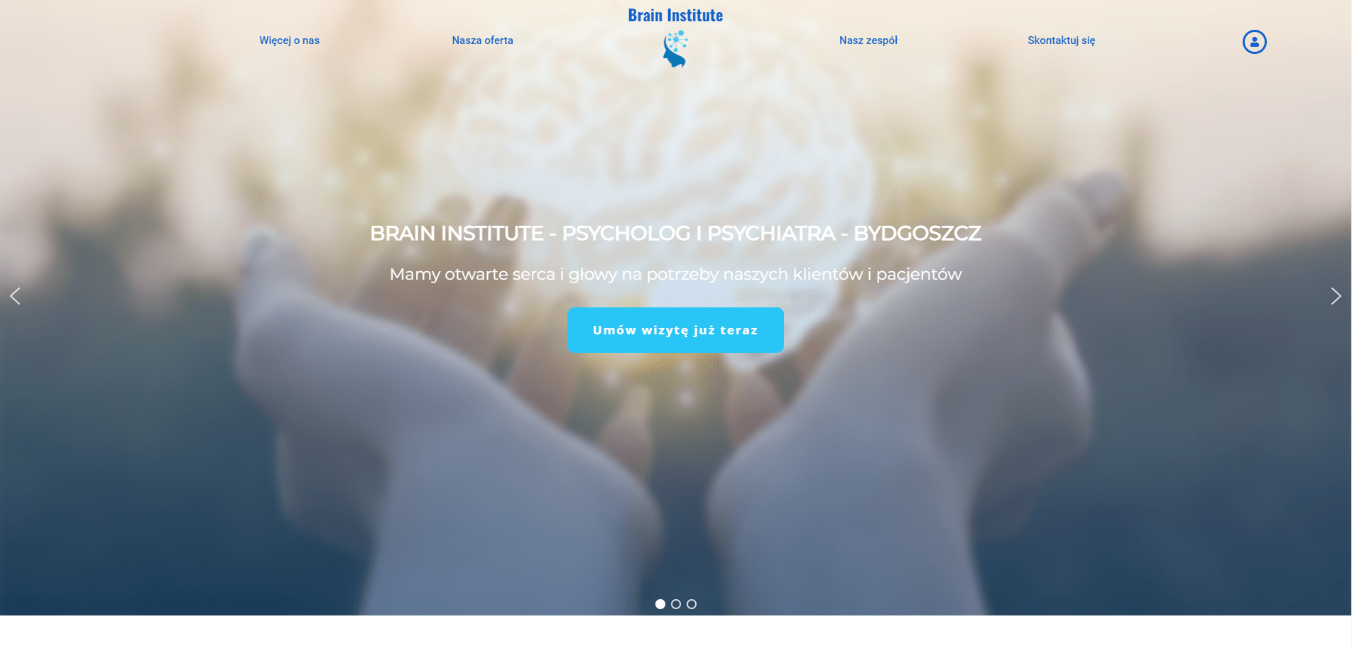 www.braininstitute.pl